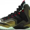 LEBRON 11 KINGS PRIDE 2