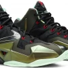 LEBRON 11 KINGS PRIDE 4