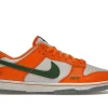 DUNK LOW FAMU X FLORIDA AM first copy