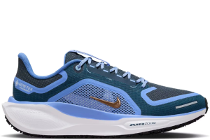 AIR ZOOM PEGASUS 41 GORE TEX COBALT