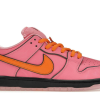 POWERPUFF X SB DNK LOW BLOSSOM